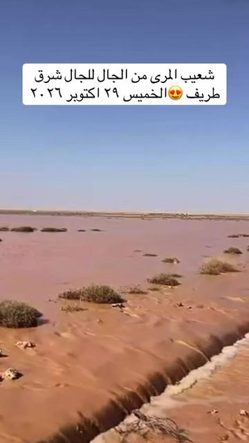@المكشات