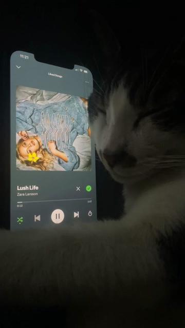 @sleepycatwithmusic