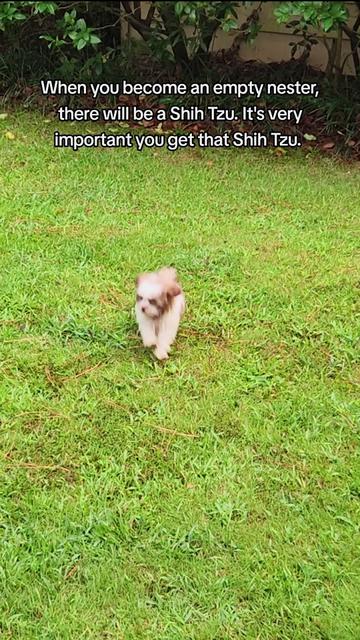 @Little Miss Mollie