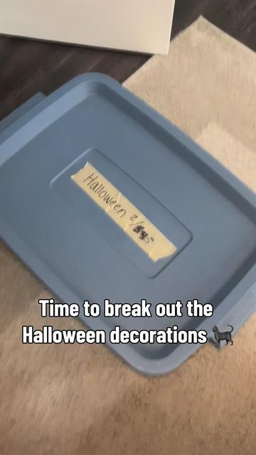@kt0mac
