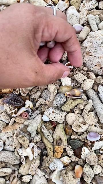 @Seaglass Goddess ღ