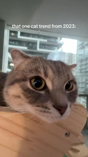 @Suki