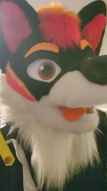 @Luco Foxxo