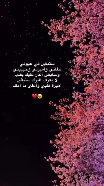 @انس الشامي
