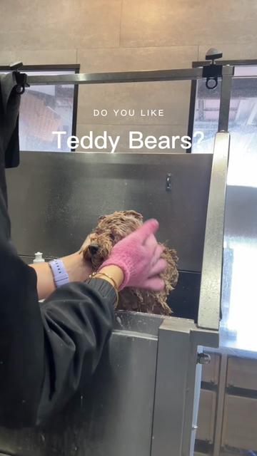 @DevenickDogs