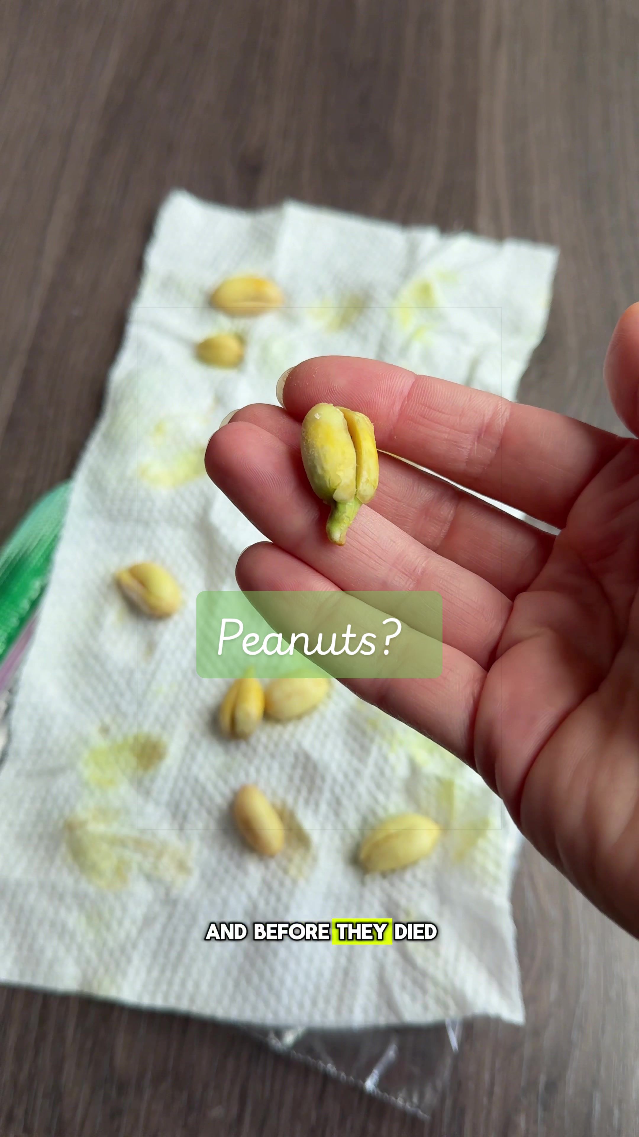 @growithjessie