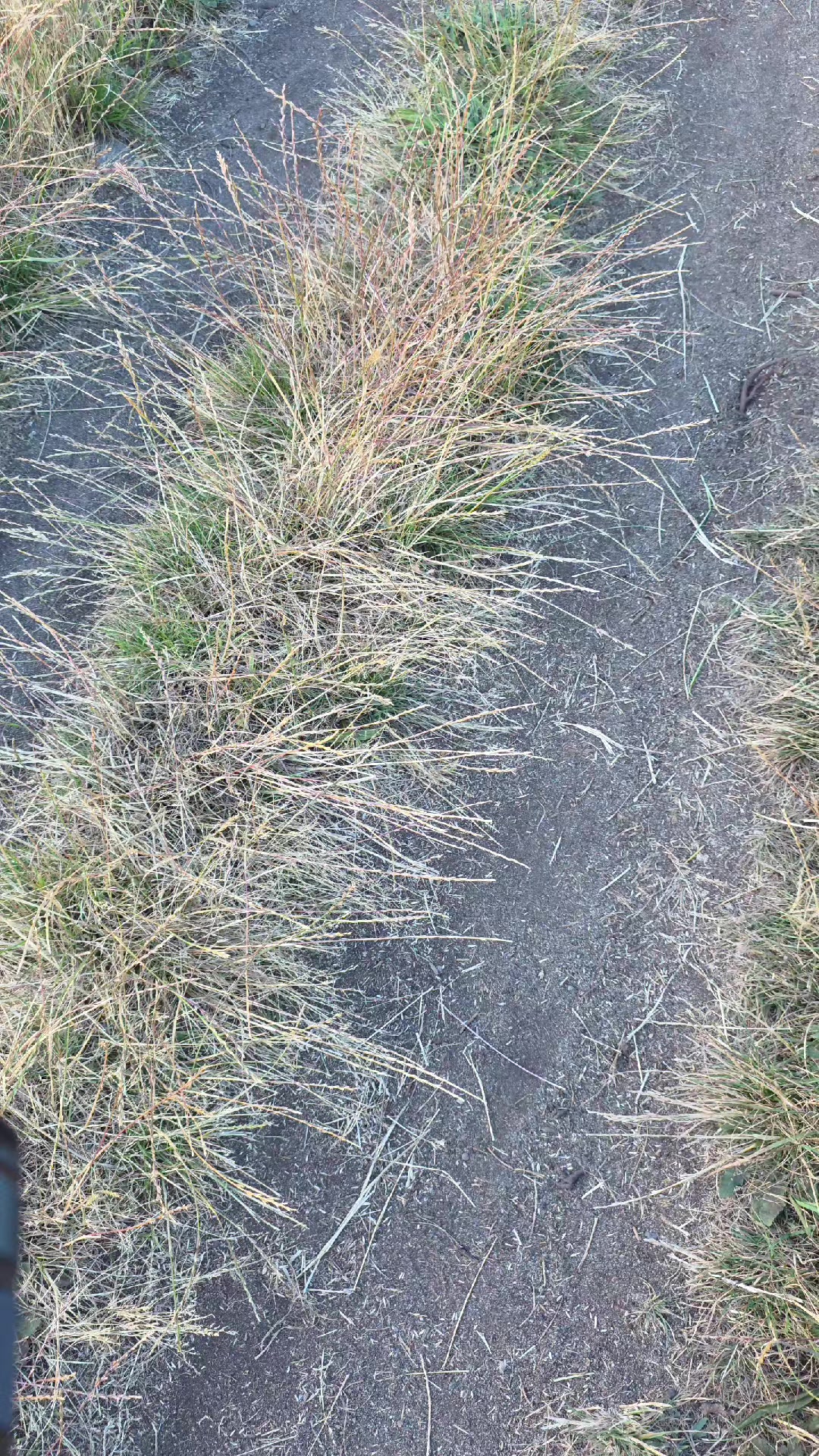 @Vincent🇨🇦