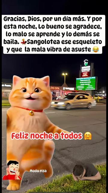 @Pedro Cruz