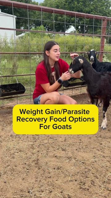 @Heart & Hoof Homestead