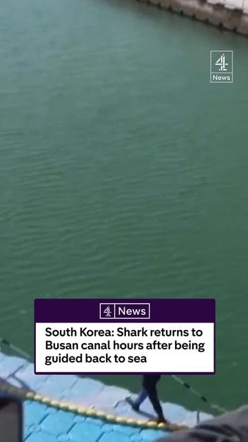 @Channel 4 News