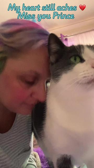 @romina.owned.by.cats