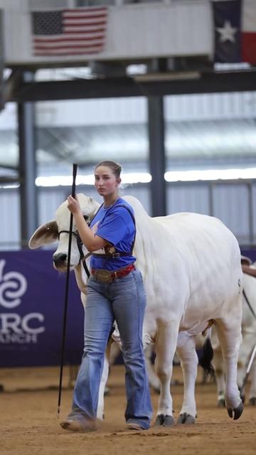 @England Cattle Co.