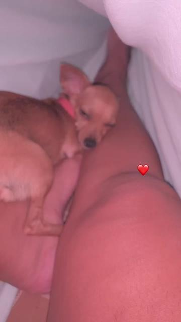 @jacquellynemarques