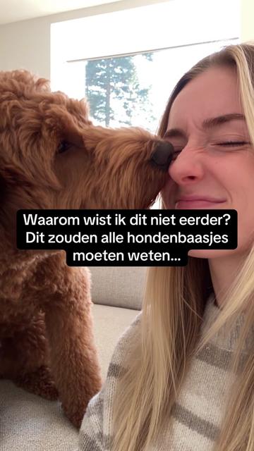 @Pure Paws