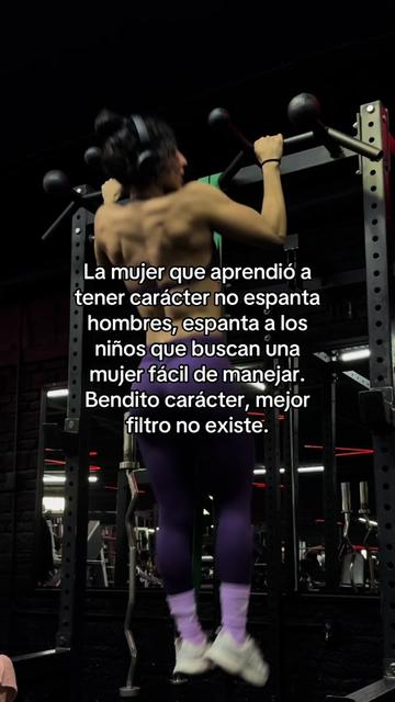 @ilseecr