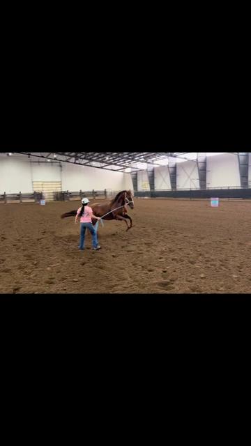 @Smoke Show Rodeo