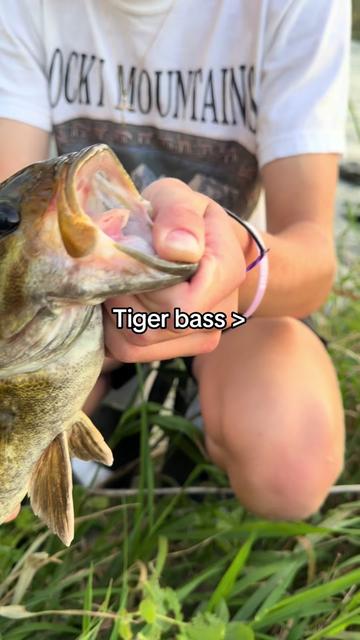 @FattBassFishing