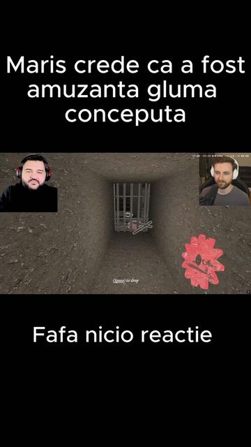 @mogo