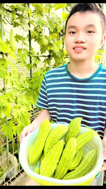 @nguyen thequan
