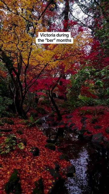 @Super, Natural BC