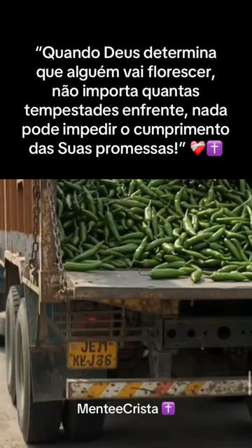 @MenteeCristã✝️