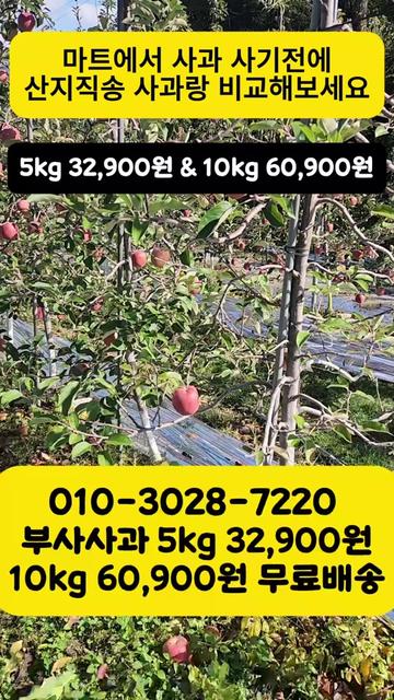 @프루트빌리지