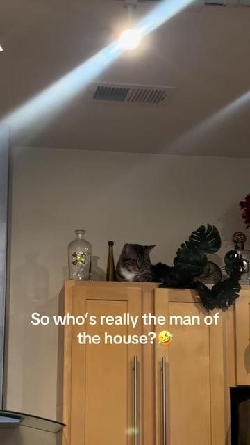 @Taka
