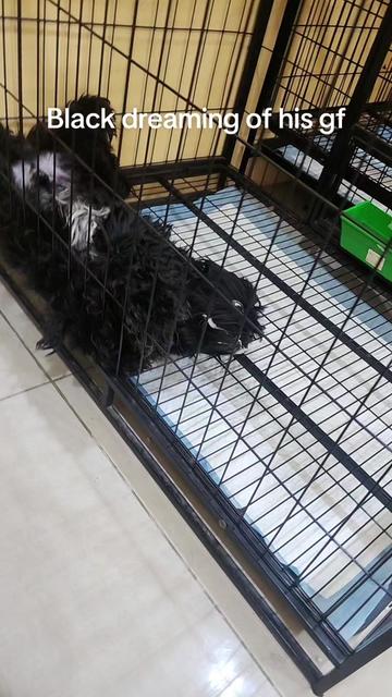 @🖤❤️ Riderponnu ❤️🖤