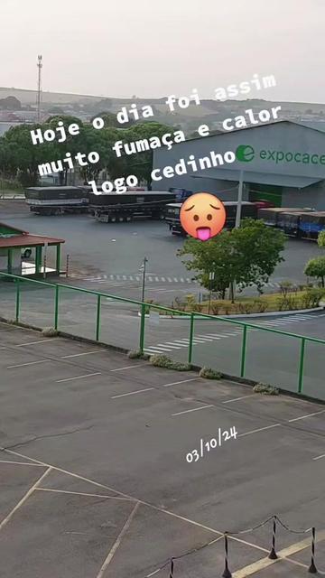 @aparecidamachado303