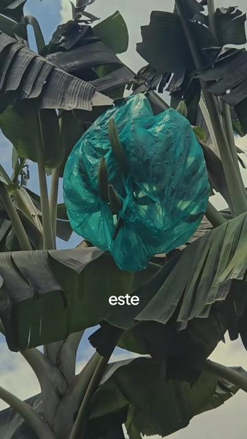 @Montoya Vélez S.A.S