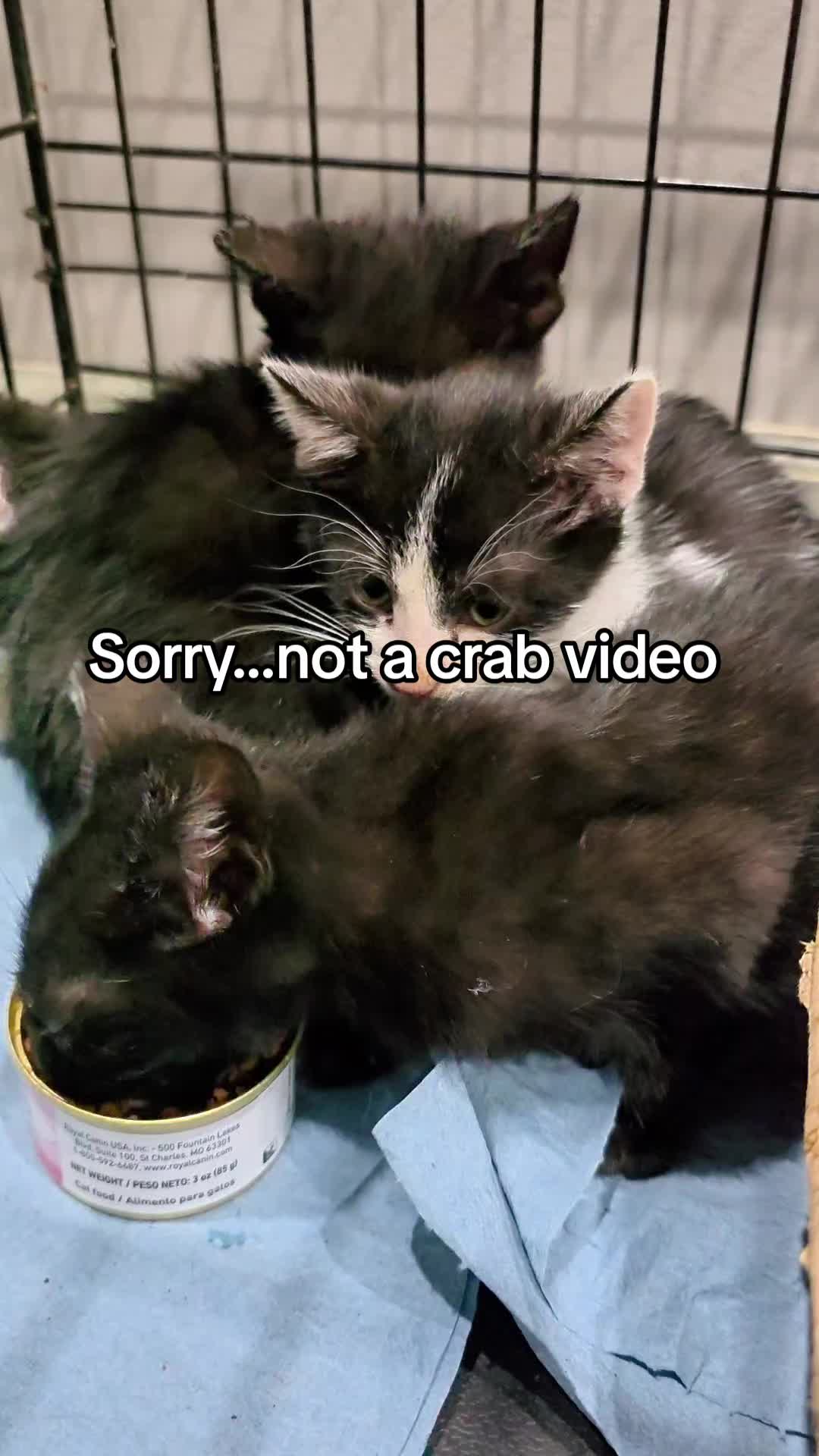 @Howie The Crab
