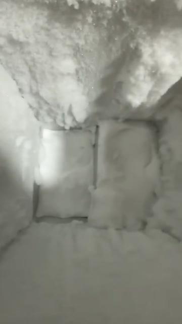 @ICEE🩷