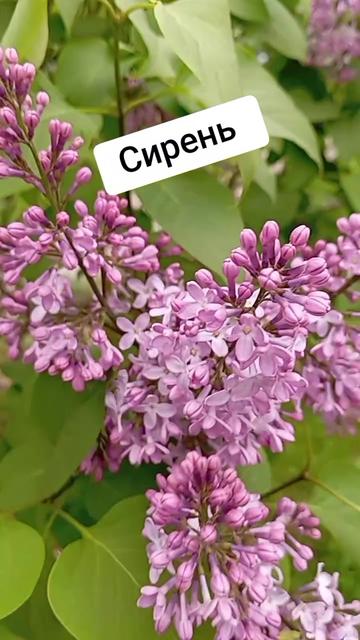 @Танюшка74
