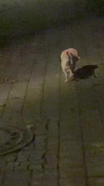 @🦋🦁Mellie 🦋🦁✨TeamGoOdViBES✨