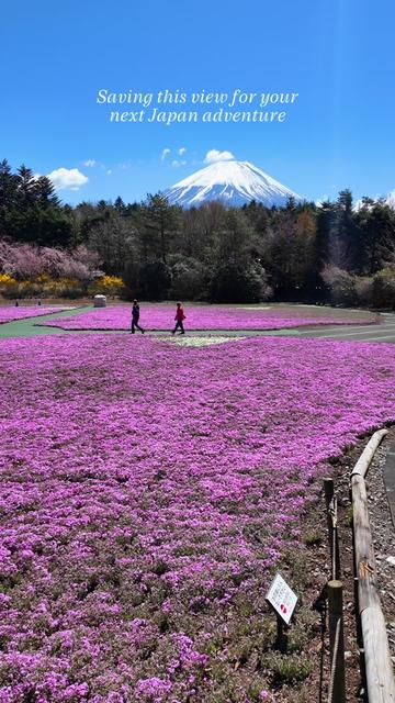 @Yamada | 1-Day Trip To Fuji