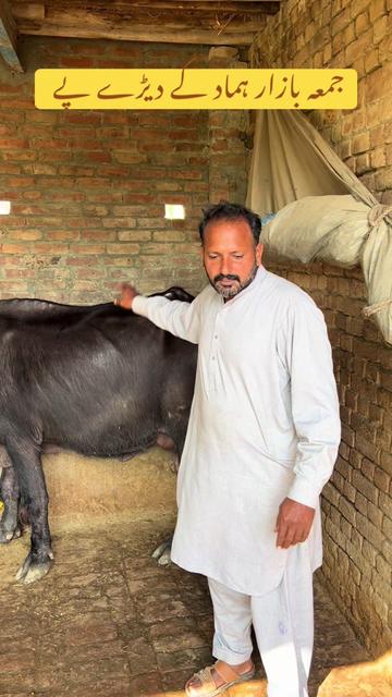 @Farming and Business Ideas
