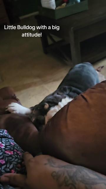 @Sonia&Rosieroo&hearts;️🐾