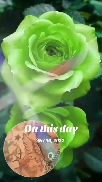 @Bunnie Boo Boo. 🐇🐇🐰🐾🐾 77