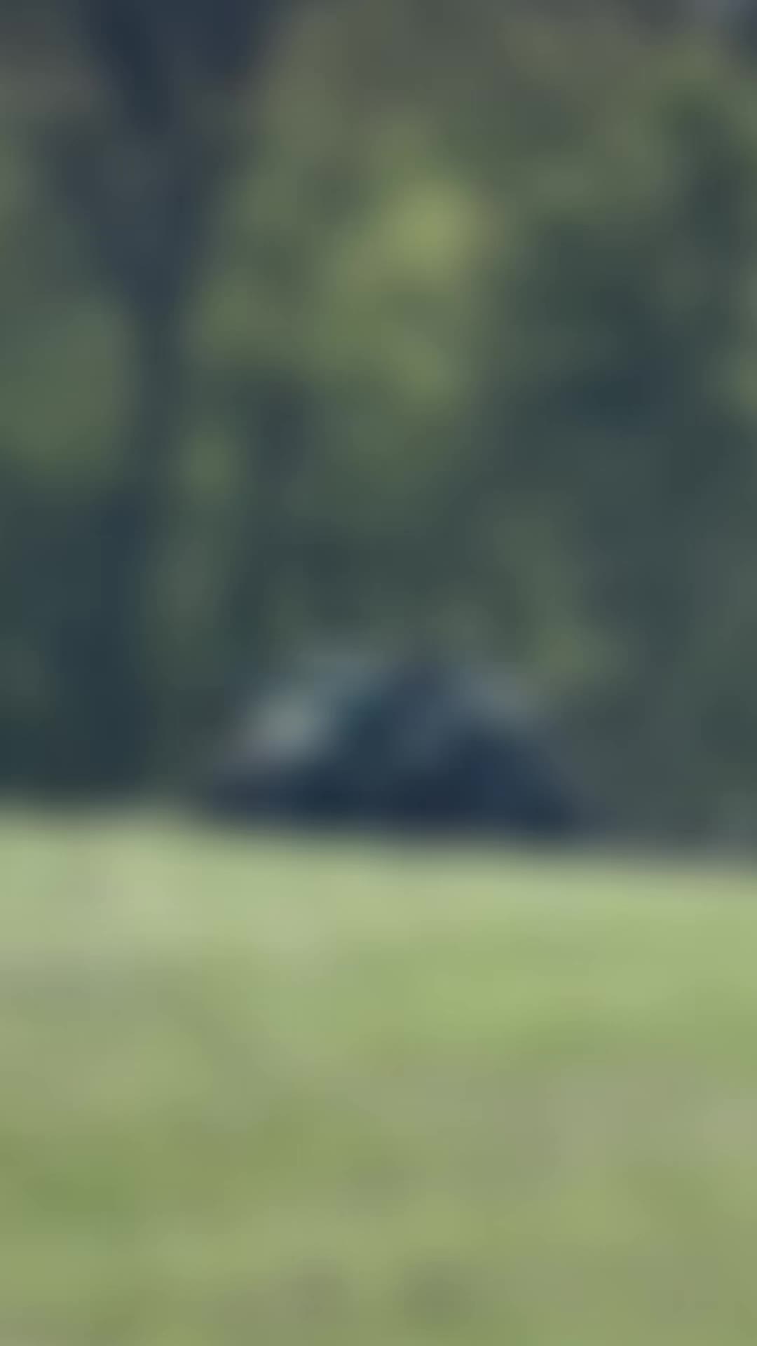 @Martin Krämer563