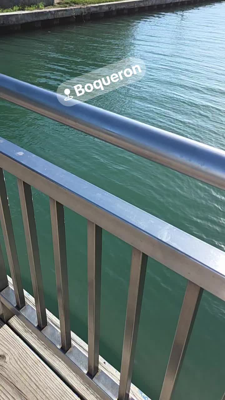 @Ecar3035🇵🇷