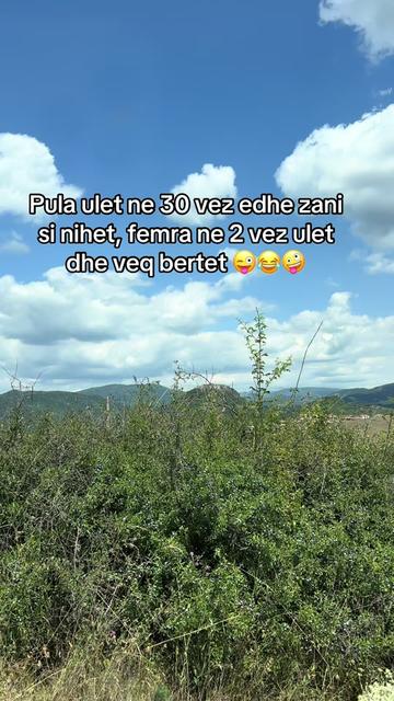 @ZemraM&euml;Kujton🤗❤️