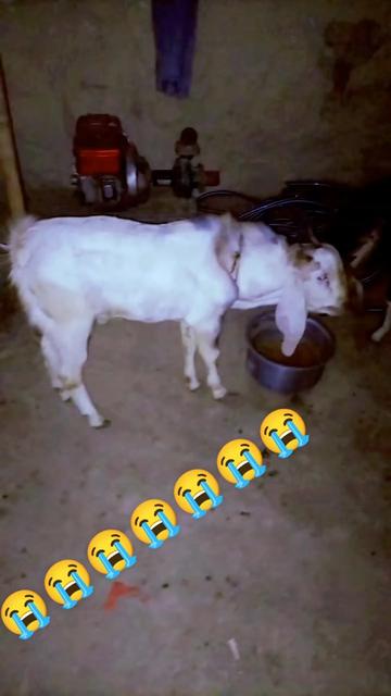 @Rajesh Yadav ๐ณ๐ต๐ช๐ช๐ช