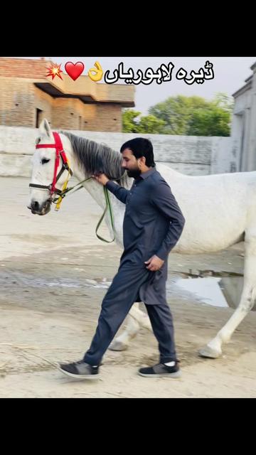 @Arslan Gujjar