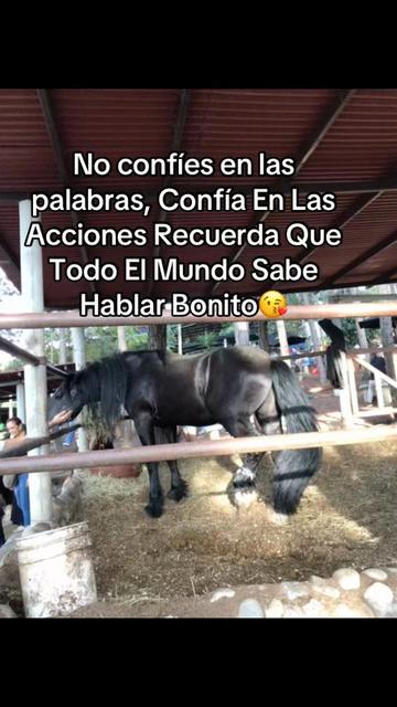 @Adriana21❤️🩹