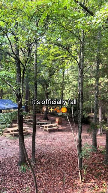 @Carolina Raptor Center