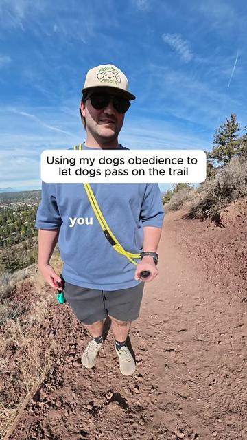 @forthedogs