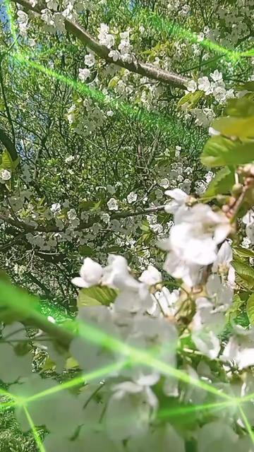@Танюшка74