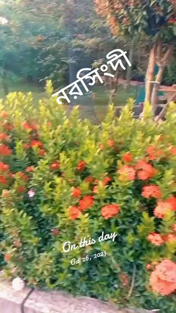 @ashikkhan