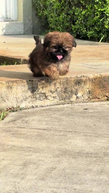 @nah.its.아일렌 ᰔᩚ