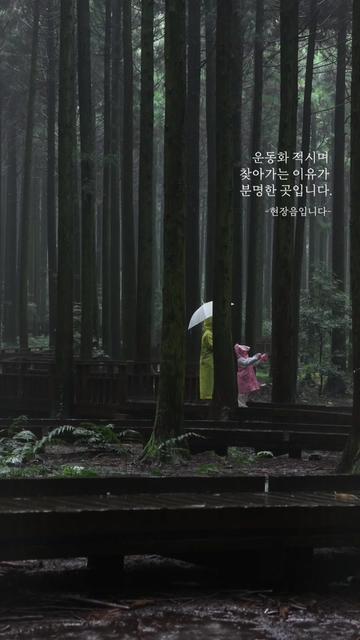 @제주도